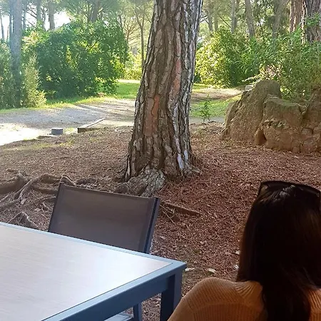 Studio 4 Personnes, Climatise, Rez De Jardin *